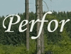 PERFOR
