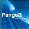 PANGEA E-SOLUTIONS
