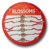 BLOSSOMS LIFESTYLE