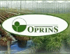 OPRINS PLANT